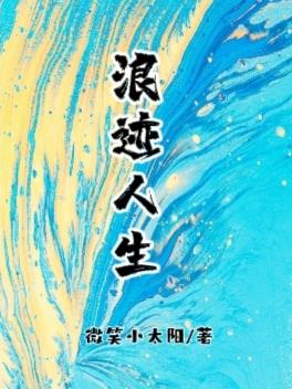 浪迹人生歌曲表达什么情感