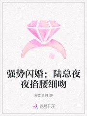 强势锁婚:陆少请走开