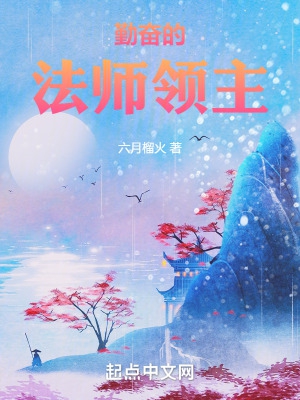 勤奋的法师领主