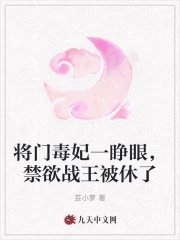 将门毒妃小说